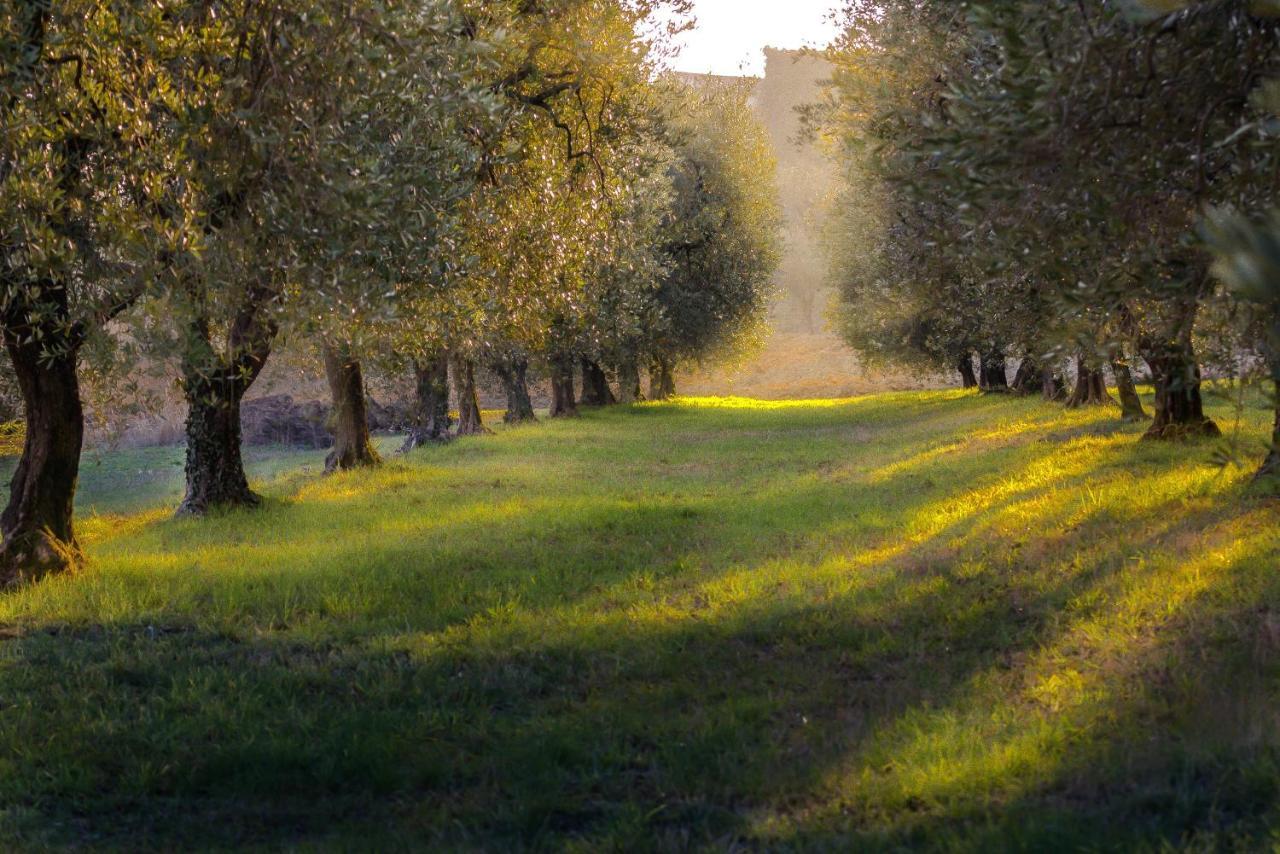 La Gemma Sul Lago Manerba del Garda Bagian luar foto