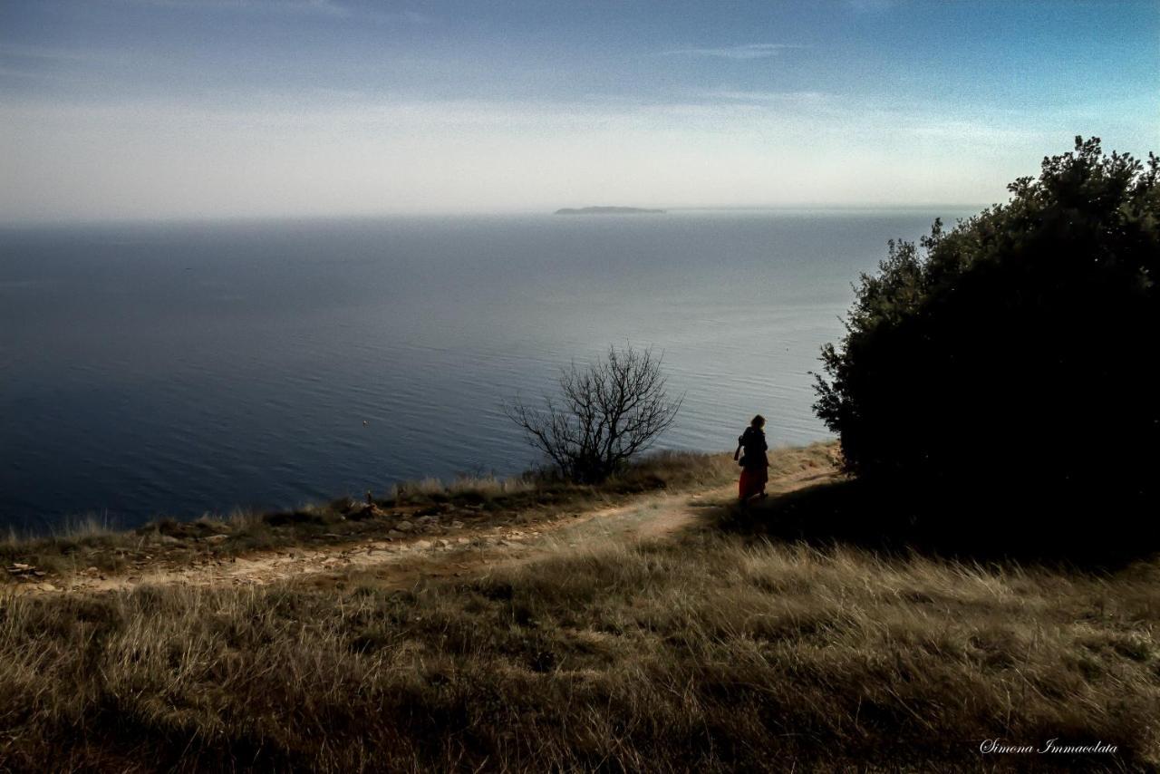 La Gemma Sul Lago Manerba del Garda Bagian luar foto