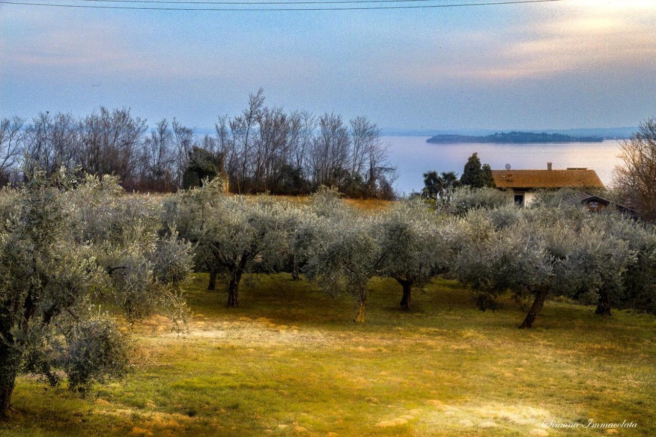 La Gemma Sul Lago Manerba del Garda Bagian luar foto